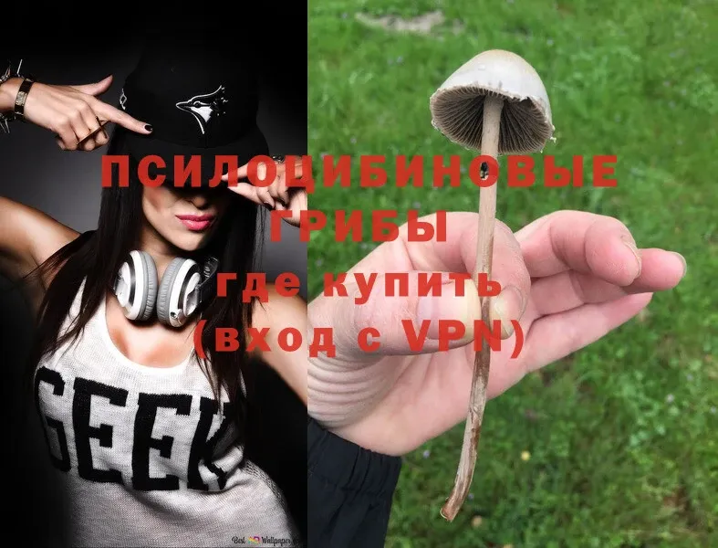 Псилоцибиновые грибы GOLDEN TEACHER  Трубчевск 